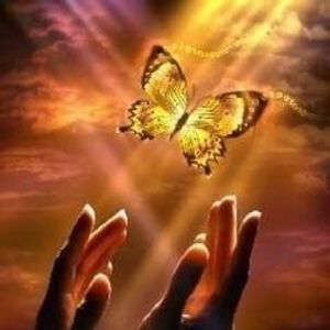 Meet your Posher, Tania